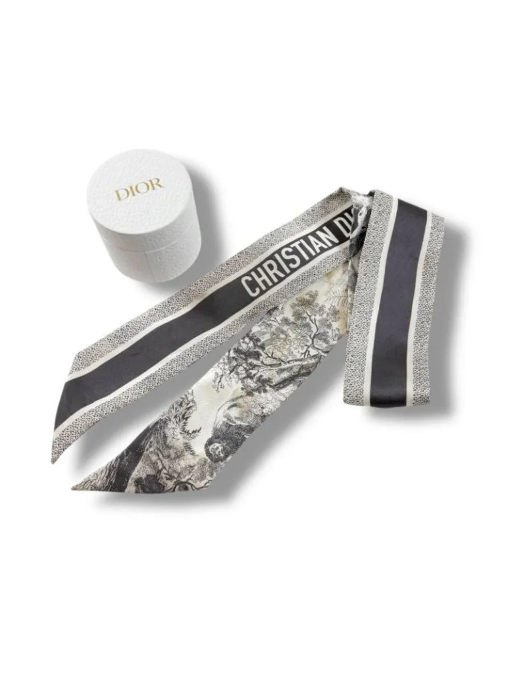 Dior Mizza Toile de Jouy Sauvage Scarf